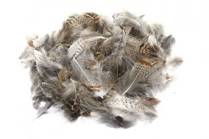Troutline Partridge Loose Feathers Pack 
