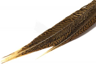 Troutline Golden Pheasant Tails